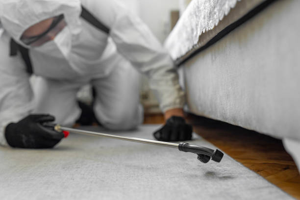 Professional Ant Control technician working in Macon County County, NC
